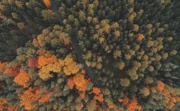 العلوم والمعرفة - بيولوجيا: تطور تقني 195