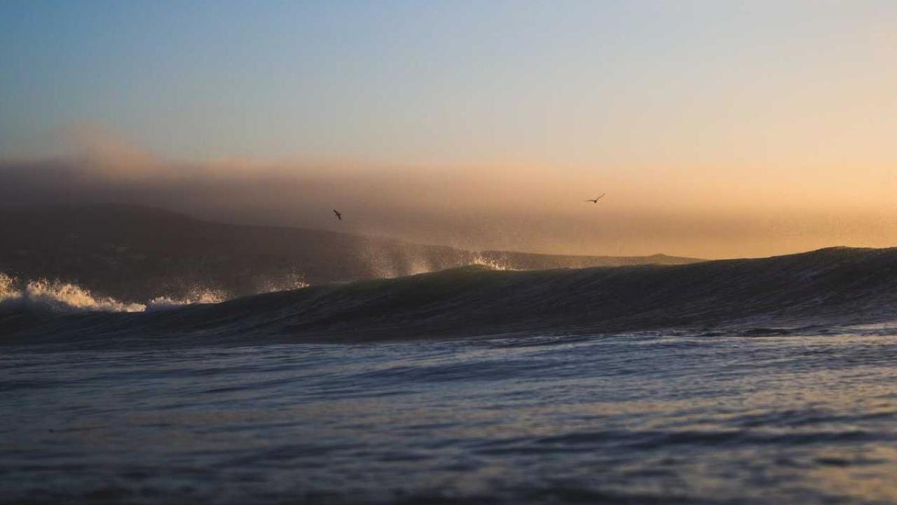 العلوم والمعرفة - بيولوجيا: بحث علمي 702