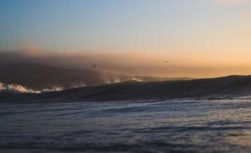 العلوم والمعرفة - بيولوجيا: بحث علمي 702