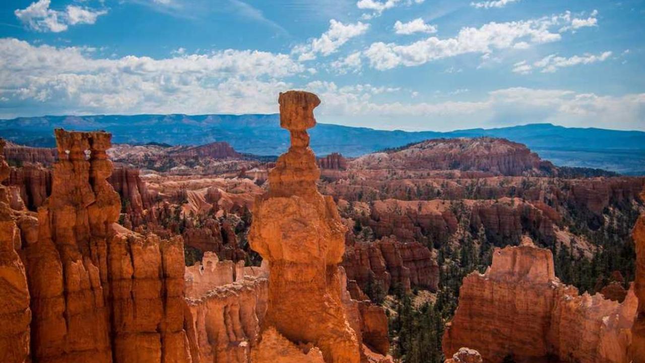 إسرائيل: المعارضة 542