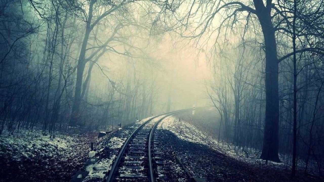 إسرائيل: القضاء 285