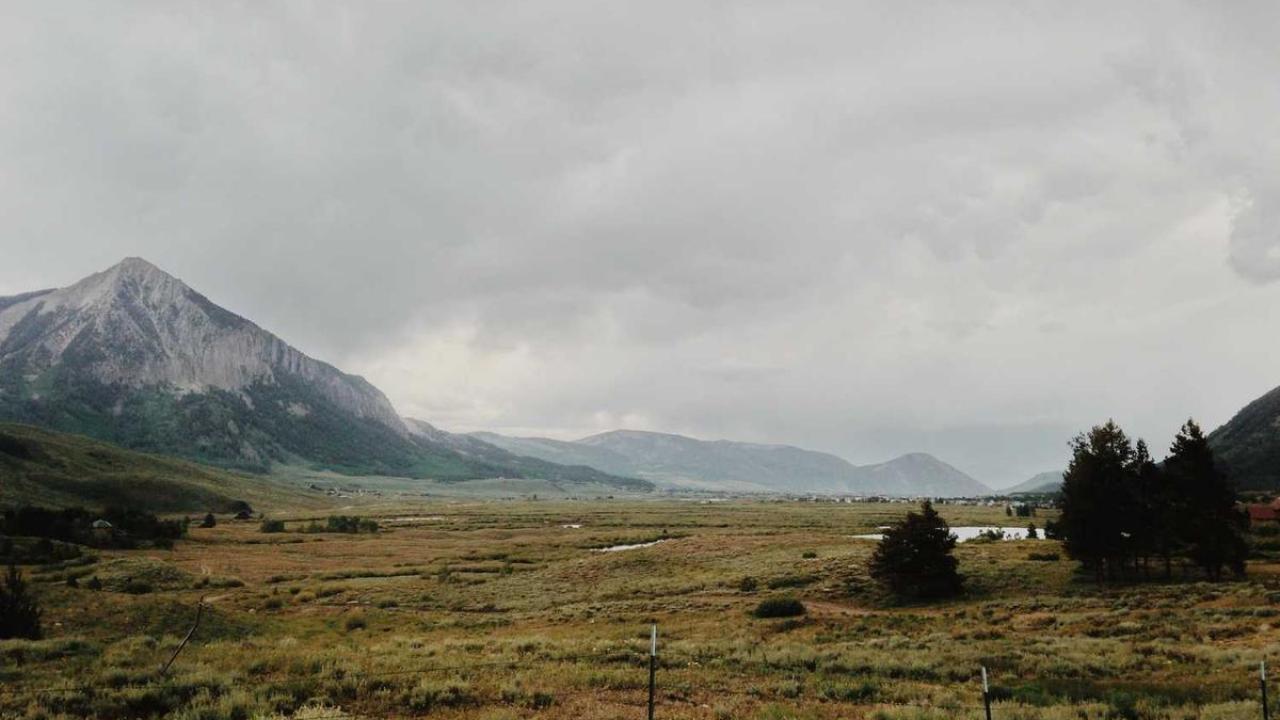 مال وأسواق: النفط 739