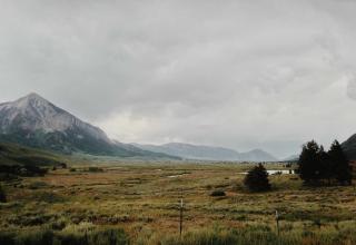 مال وأسواق: النفط 739