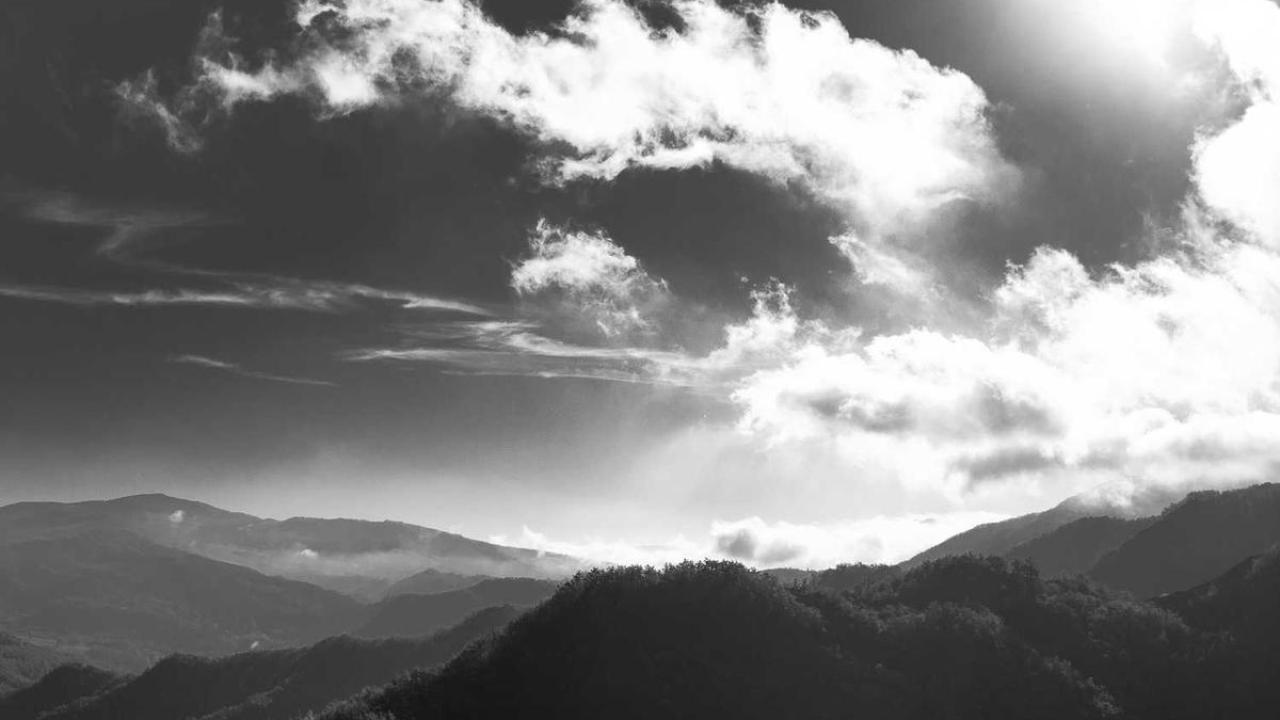 أحوال الناس: ريادة الأعمال 580