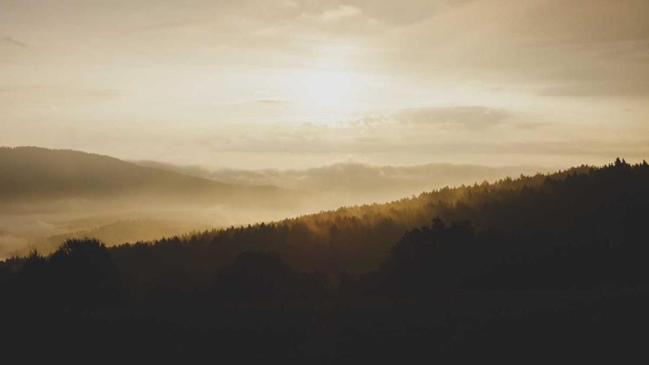 أحوال الناس: الدعم الاجتماعي 296