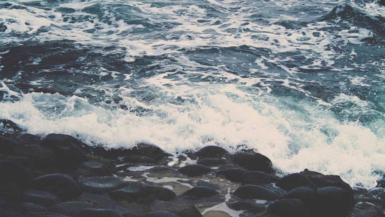 رسومات: كاريكاتير 994