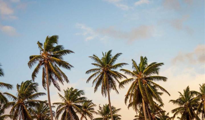 كيف ولماذا؟: أساسيات 143