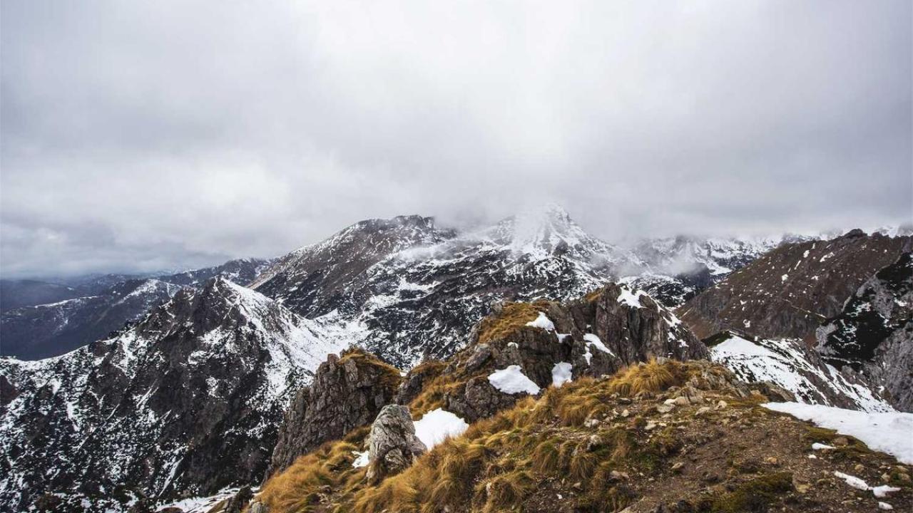 كيف ولماذا؟: تحليل سبب/نتيجة 572