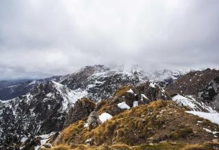 كيف ولماذا؟: تحليل سبب/نتيجة 572