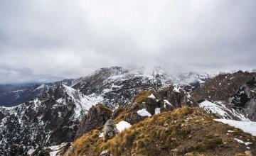 كيف ولماذا؟: تحليل سبب/نتيجة 572