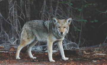 حديث الساعة: ماذا يحدث الآن؟ 903