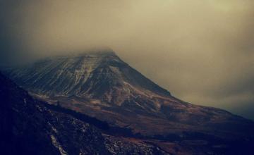 الآراء: تحليل 663